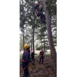 Výcvik lezeckých skupín z OR HaZZ vo Zvolene